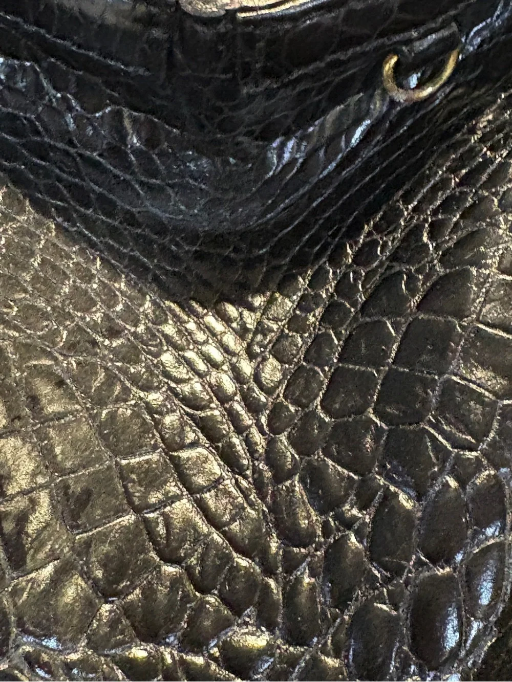 Brahmin important original